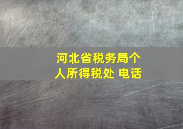 河北省税务局个人所得税处 电话